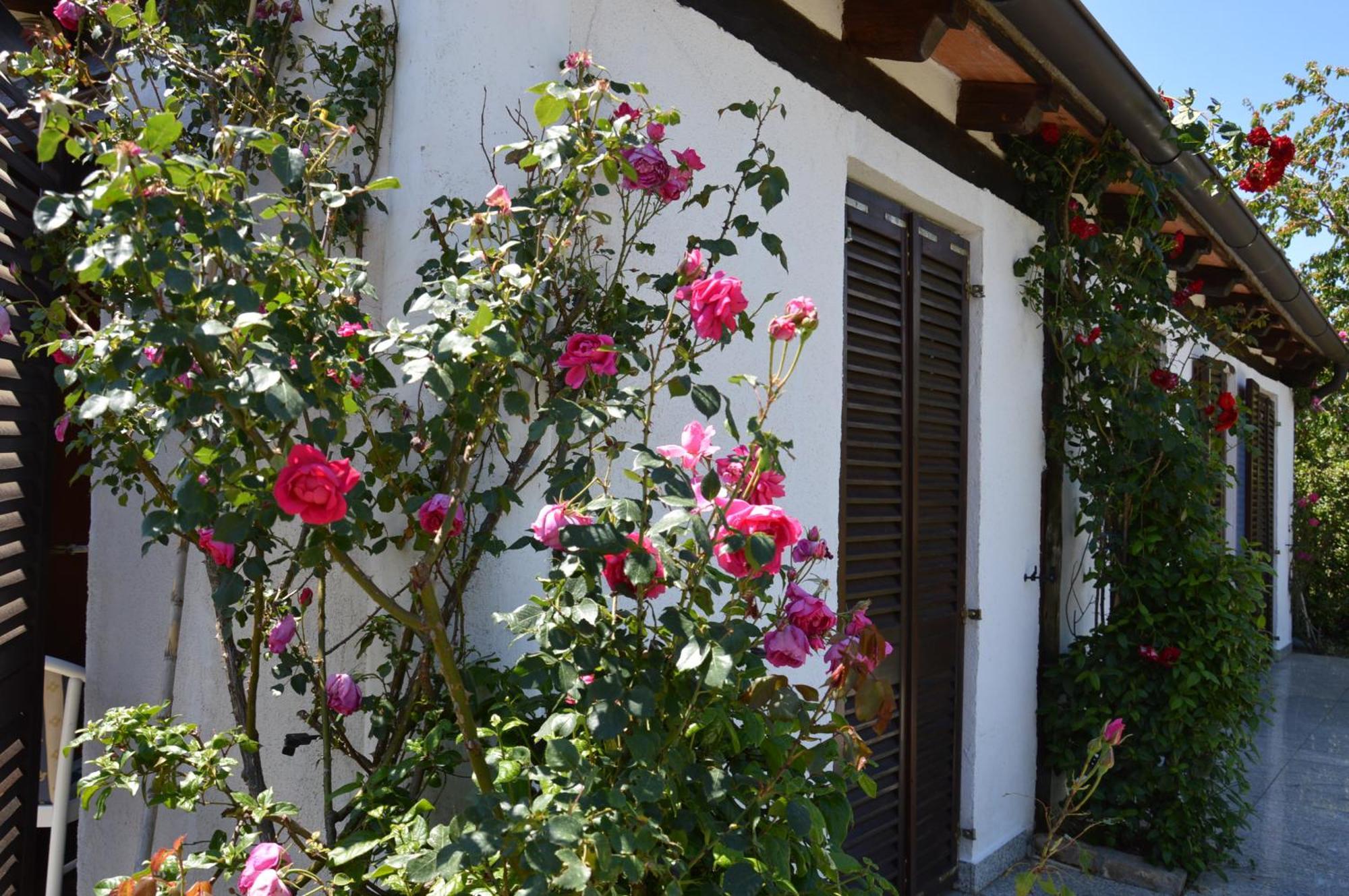 Residence Angiolina Nova Vas  外观 照片
